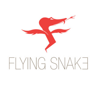 Flying Snake